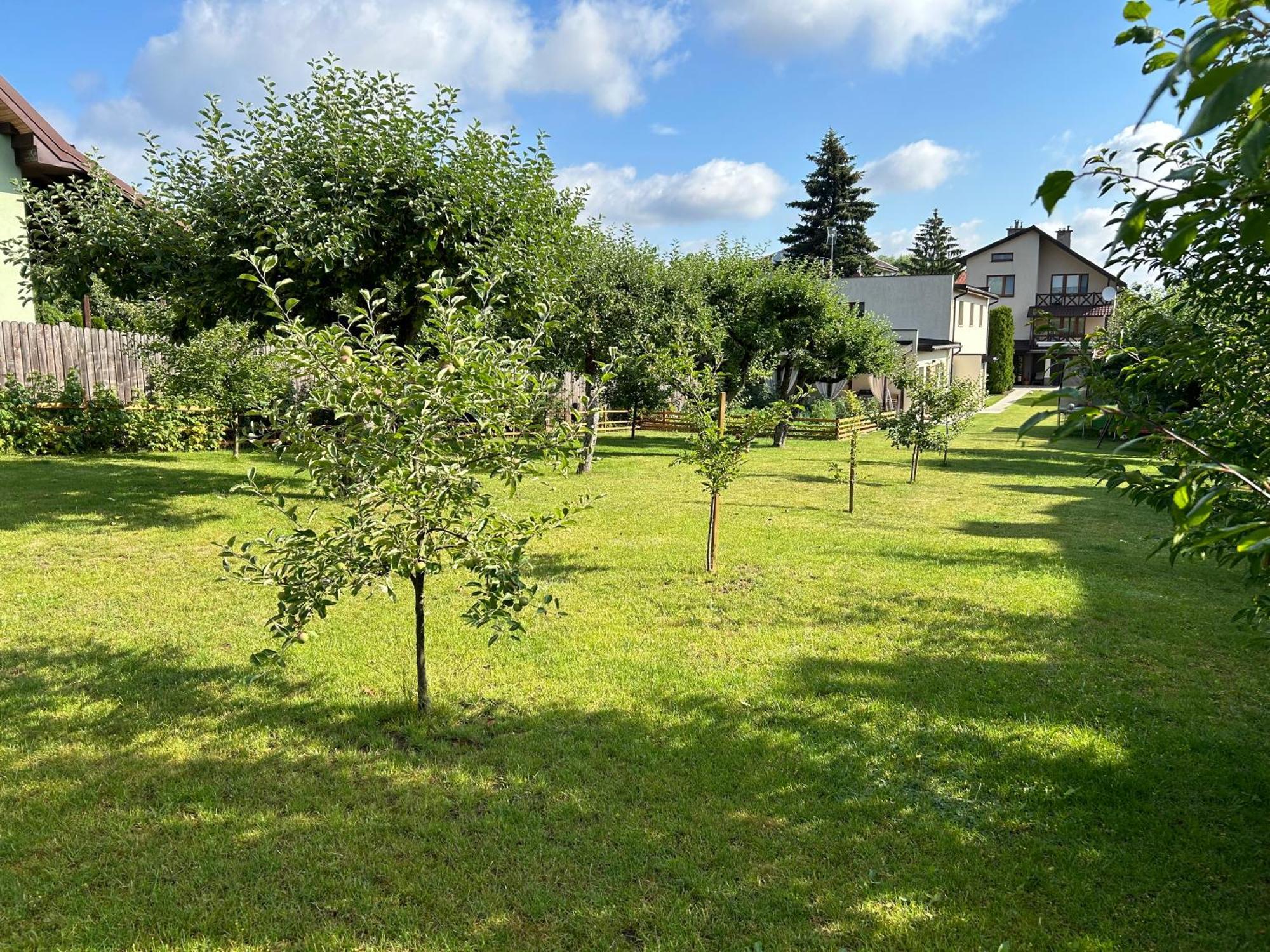 Garden * Augustów